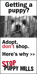 Stop Puppy Mills